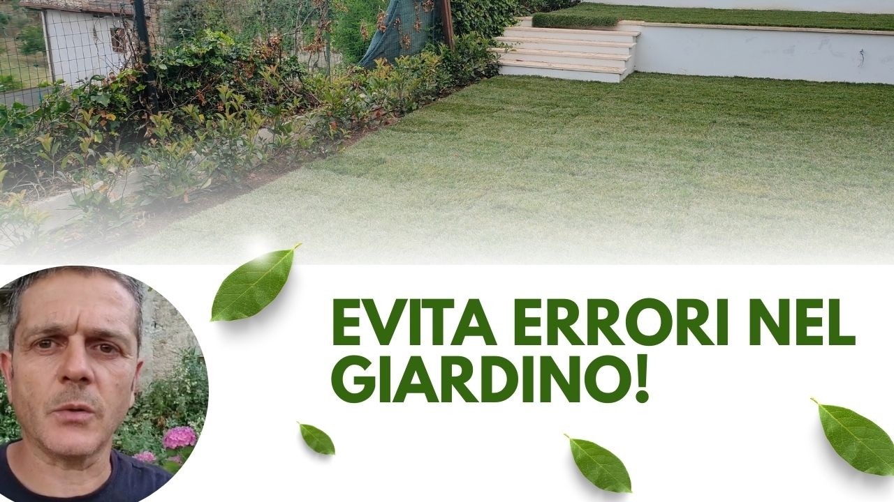 Ordine Segreto per Giardini Perfetti: Non Iniziare Senza Questo!