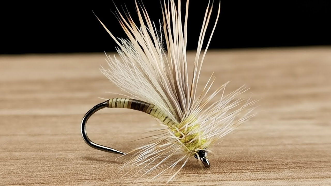 Peccary Caddis ( Dry Fly )