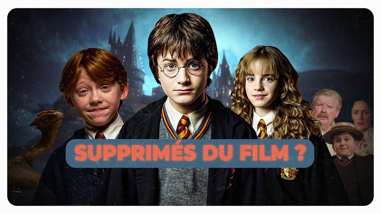 Ce que vous N'AVEZ PAS VU dans HARRY POTTER (à l'école des sorciers)