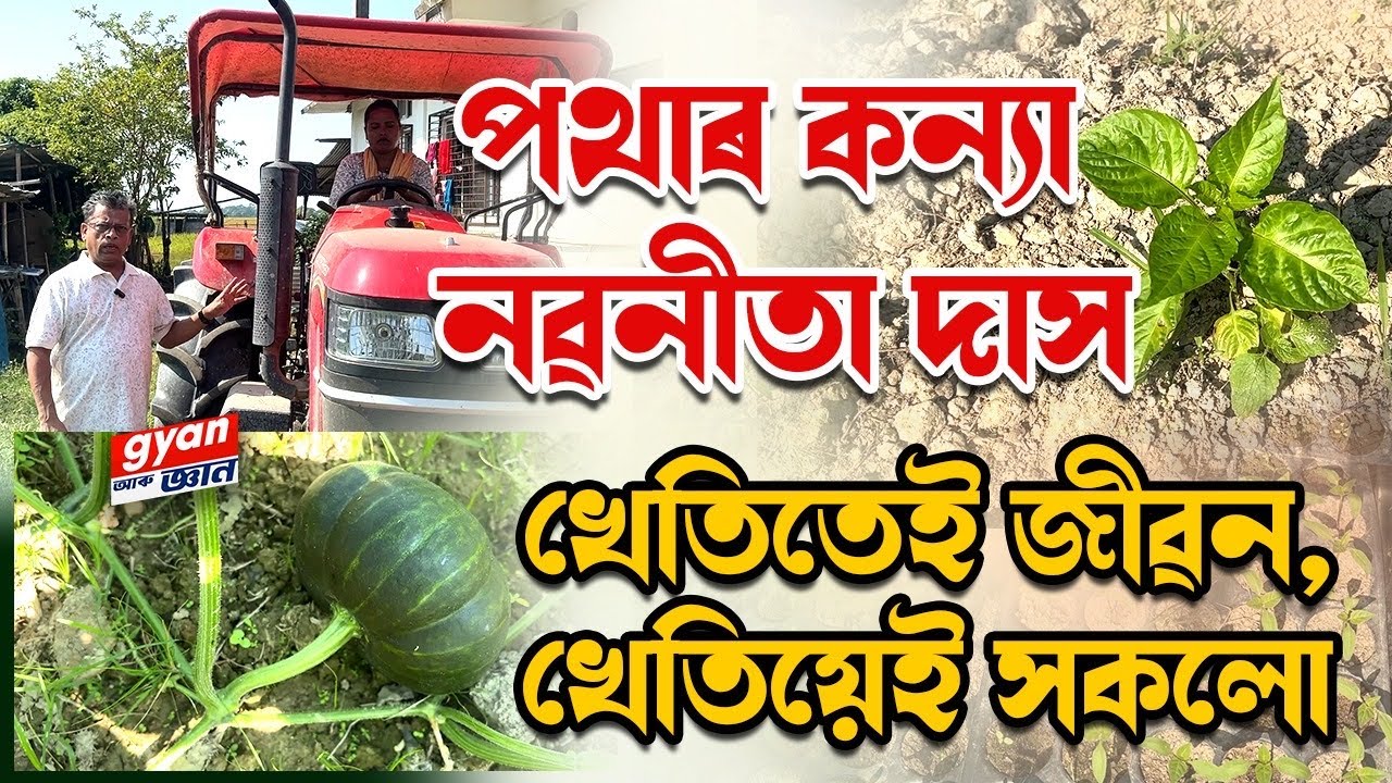 খেতিৰে সোণ বোটলা পথাৰ কন্যা নৱনীতা দাস