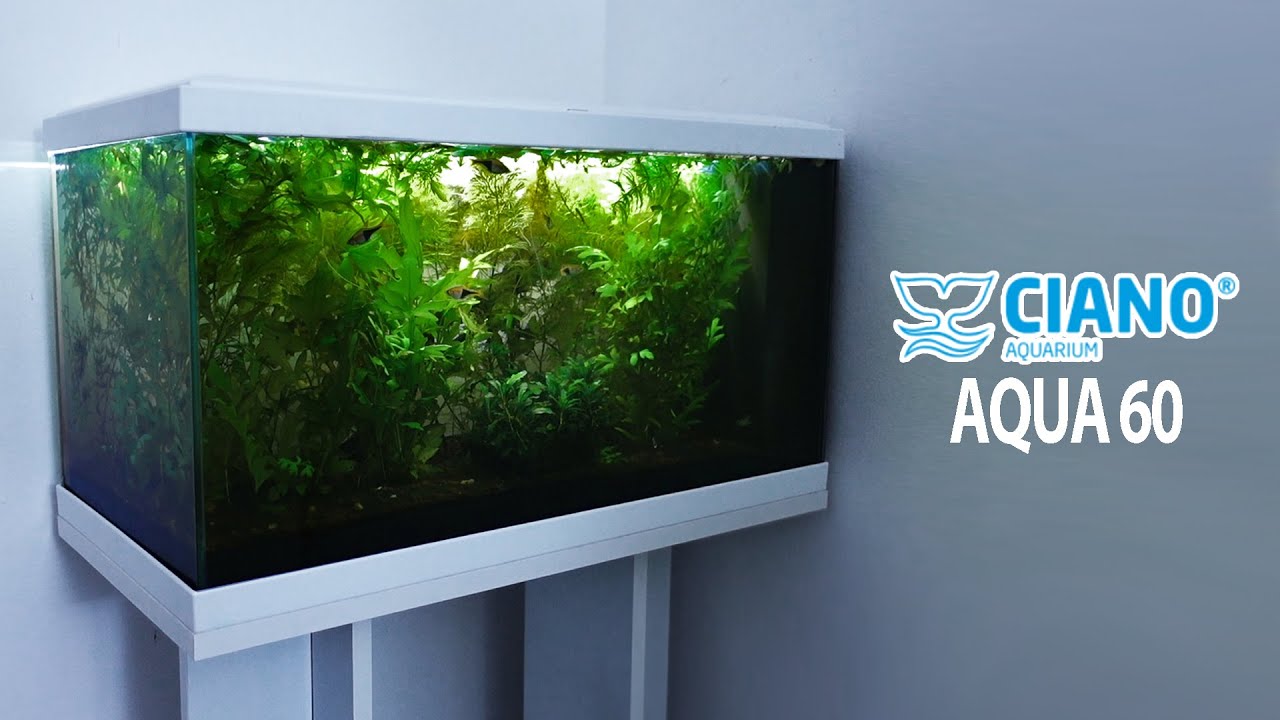Ciano Aqua 60 LED - Un acquario Completo Entry Level
