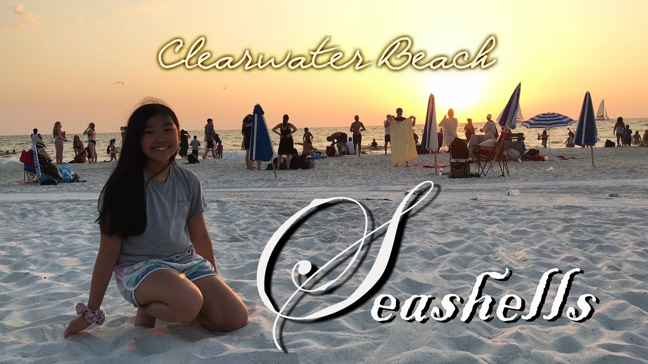 Shelling at Clearwater Beach Florida