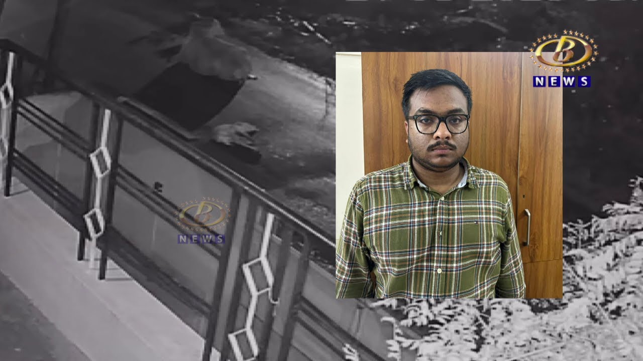 रस्त्यावर बसलेल्या गोंडस वासराला गाडीखाली चिरडण्याची राक्षसी वृत्ती