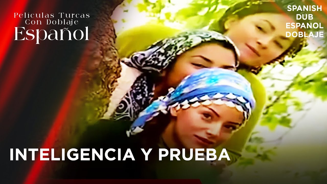 Inteligencia y Prueba | Película Turca Doblaje Español - Ese İle Köse