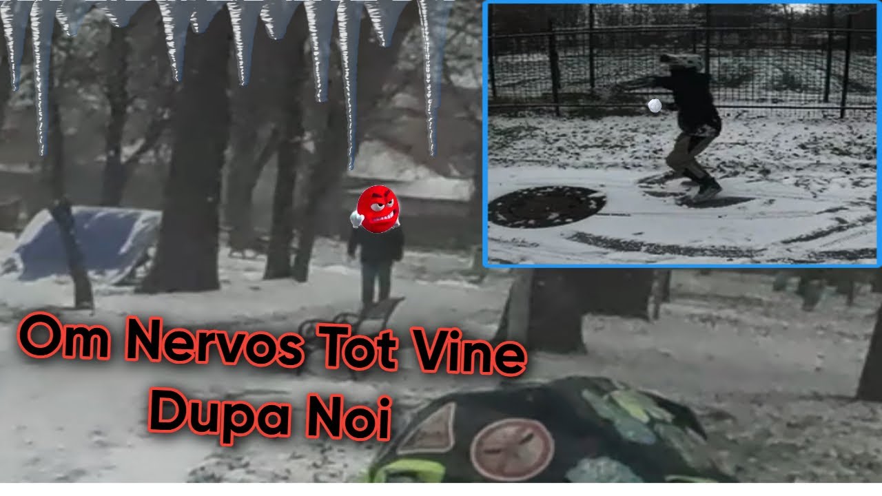 A VENIT IARNA S-A INTAMPLAT ASTA (om nervos)