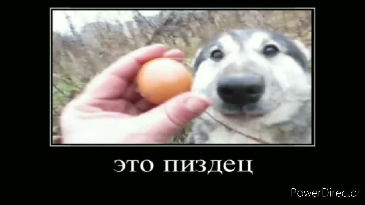 2 часть играю с читами в майн на сервере рилик