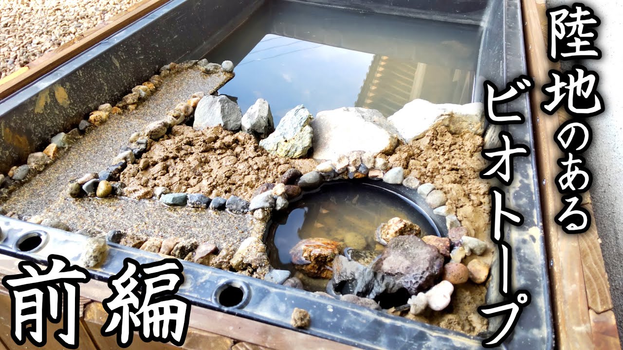 陸地のあるオシャレなビオトープをレイアウト【前編】【小川が流れる自然風景を目指す！】