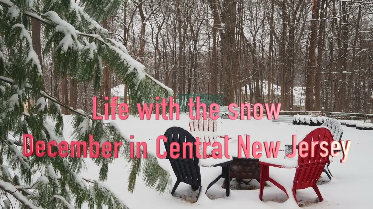 Life with the snow again   December in Central New Jersey