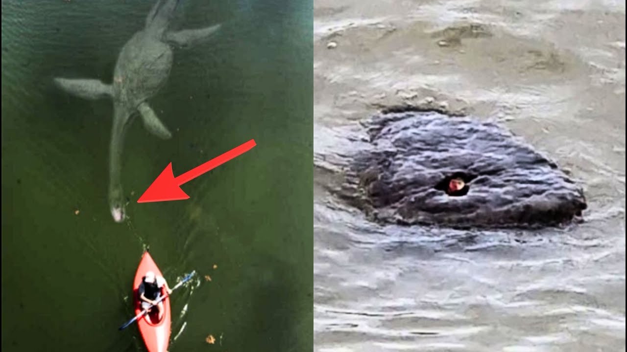 SE REVELA LA VERDAD del MONSTRUO del LAGO NESS tras 52 A&Ntilde;OS de B&Uacute;SQUEDA