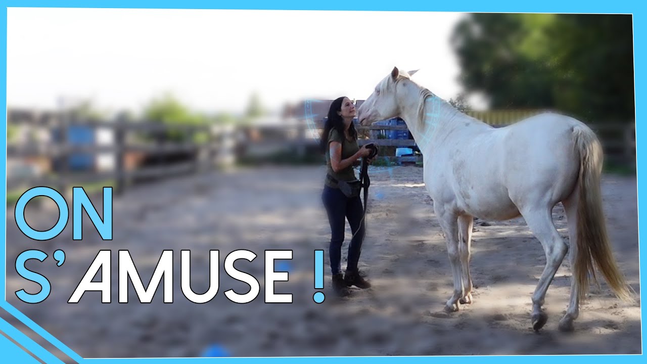 On commence de VRAIS exercices d'equifeel !