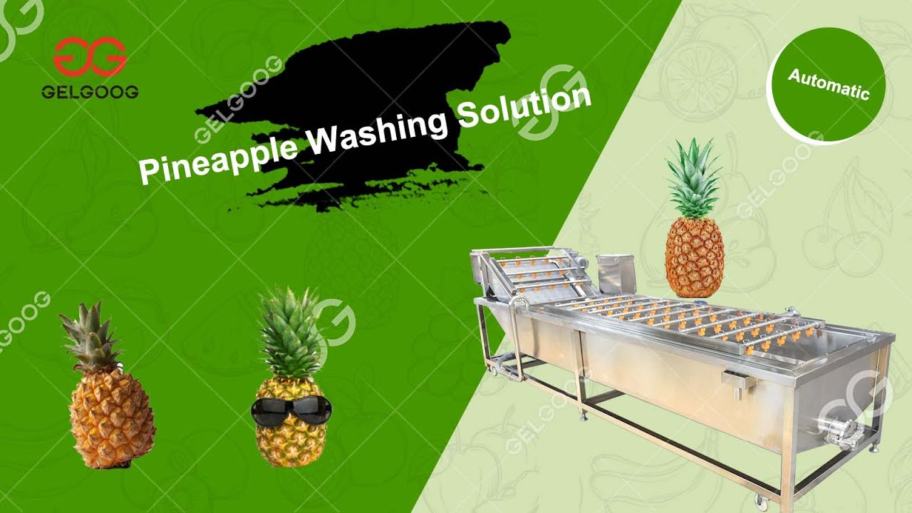 New Pineapple Washing Drying Machine