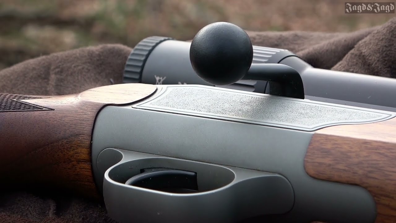 DIE GESCHICHTE VOM REHBOCK „LANGSTANGE“ - Teil 1 | Bockjagd | Jagd&Jagd