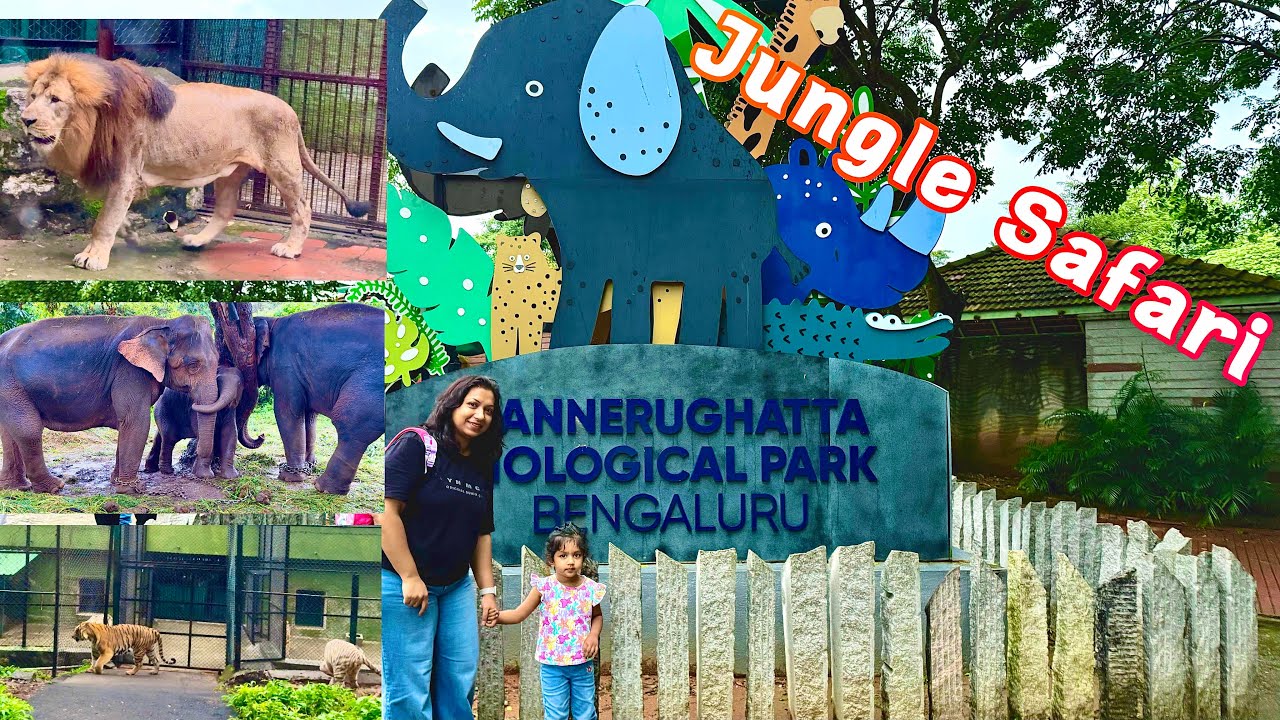 Bannerghatta National Park | Raksha Bandhan | Bannerghatta Zoo | Manvi Vaccine | Roving Couple
