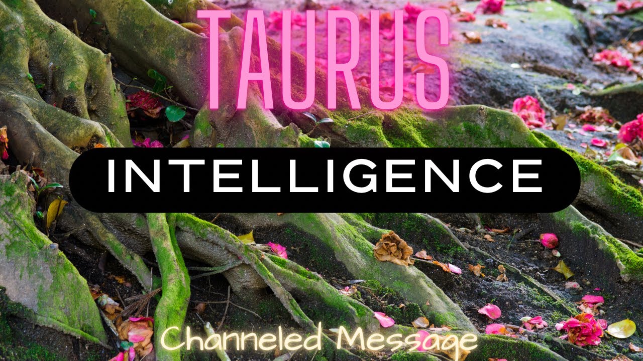 TAURUS ♉️ | INFINITE NETWORK 🌳