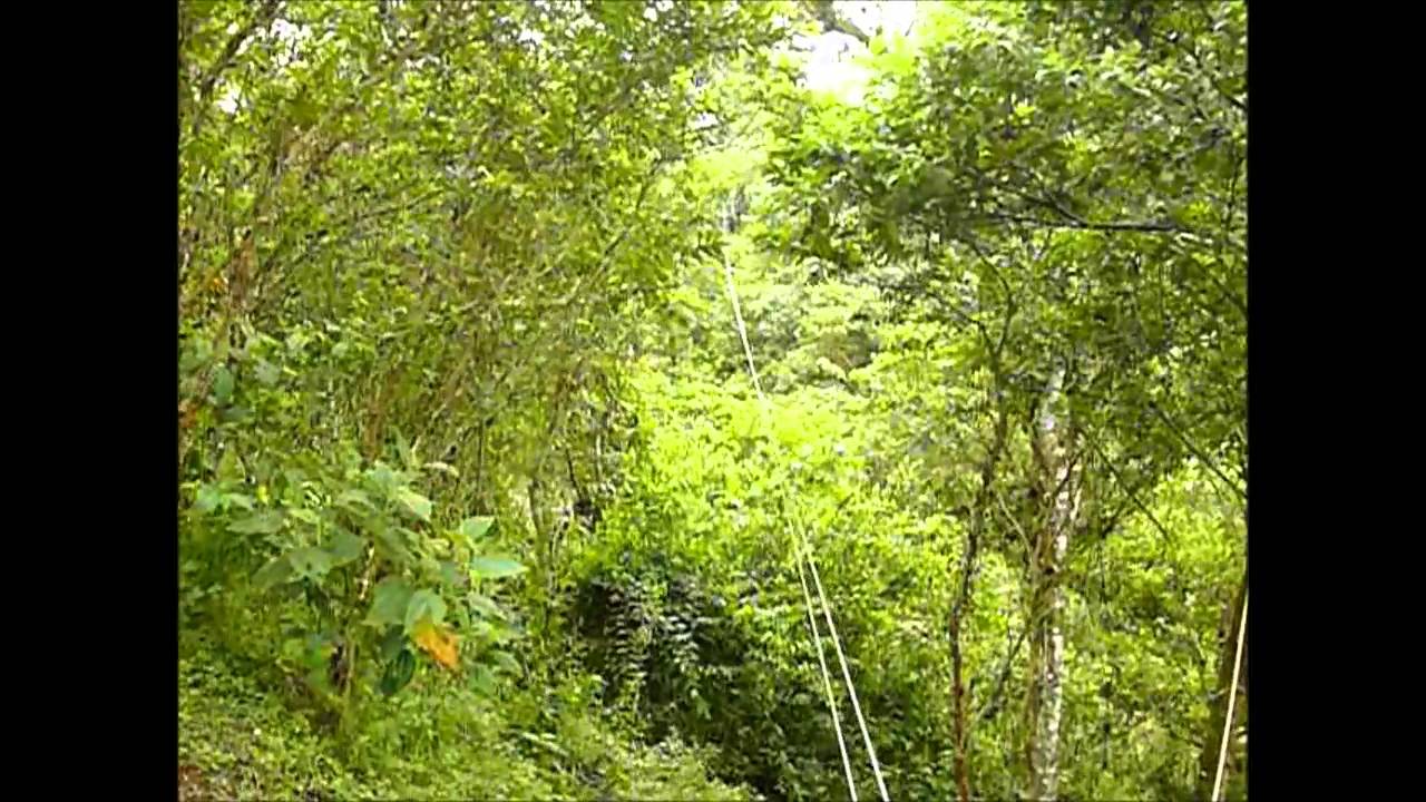 Mindo Canopy Completo
