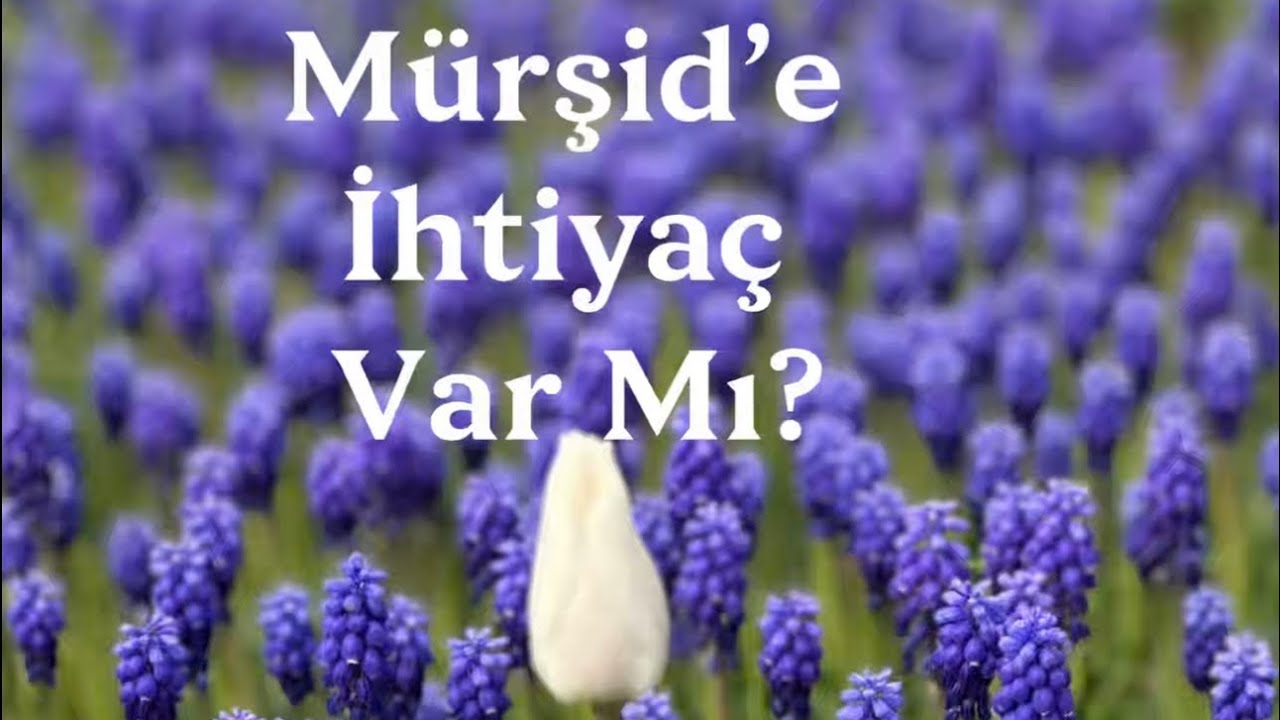 Günümüzde Mürşide İhtiyaç Var Mı? | Dr.Abdulcabbar BORAN ile Ramazan Sohbetleri