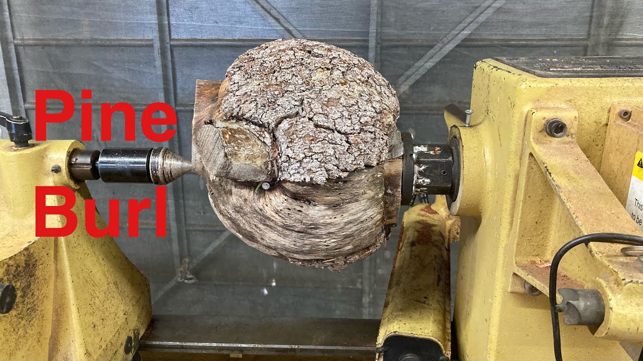 Wood turning a pine Burl