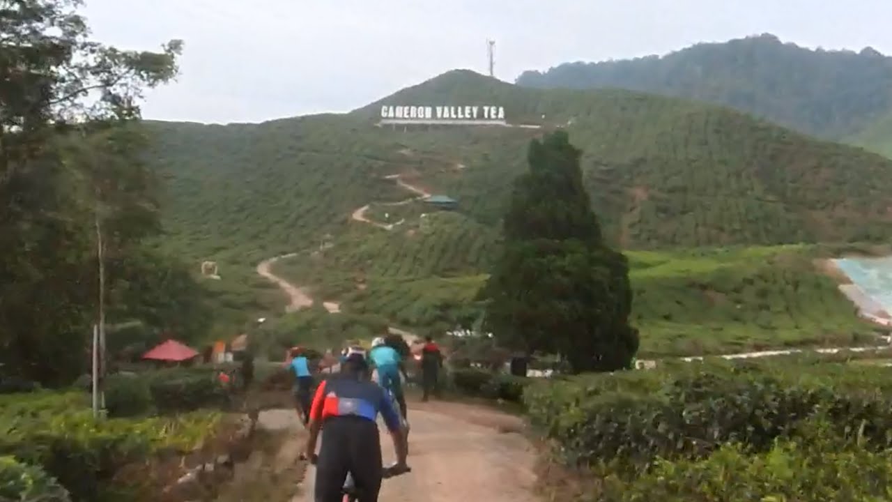CAMERON NATURE MTB JAMBOREE | KAYUH DALAM SEJUK | 7 SEPT 2024 | MM P13