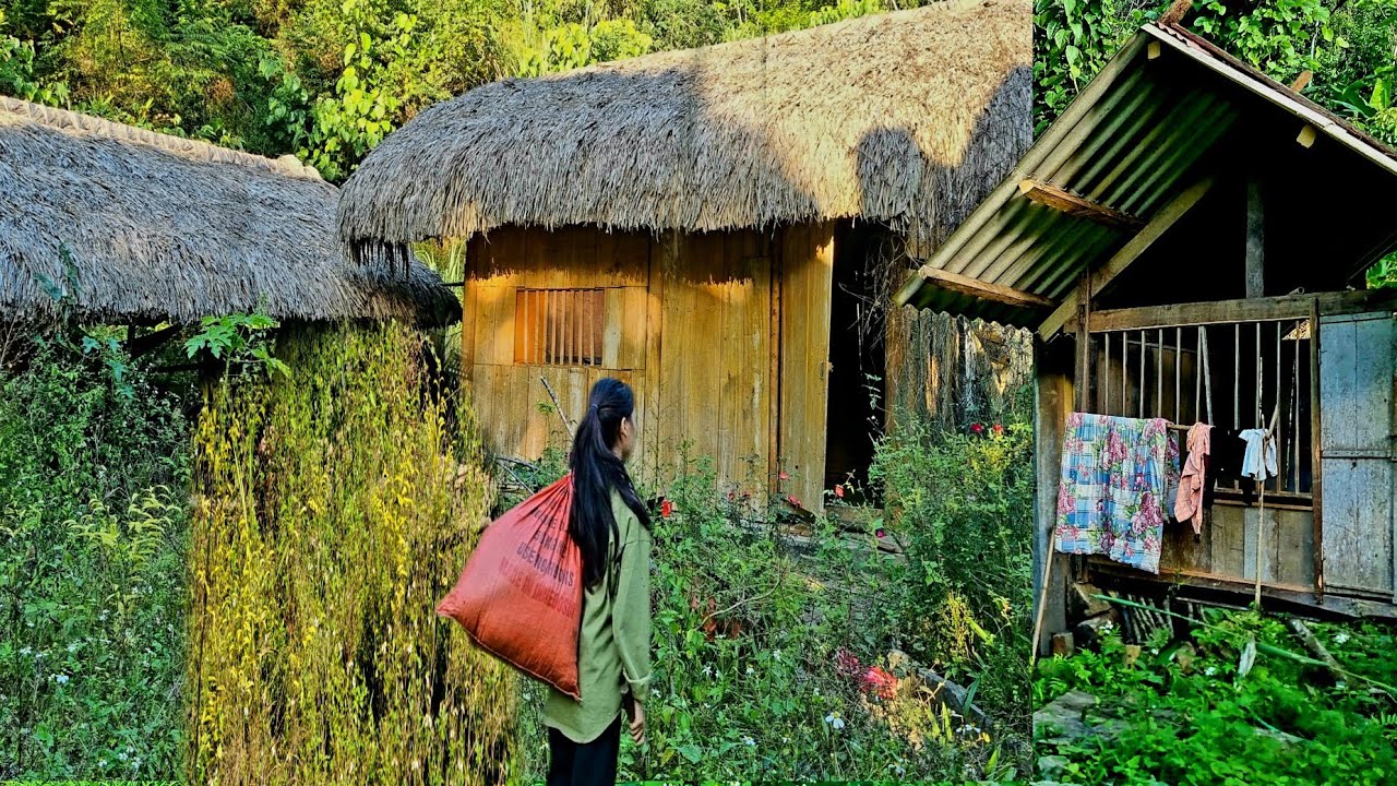 Single Girl: Renovating an Old House into a Dream Home