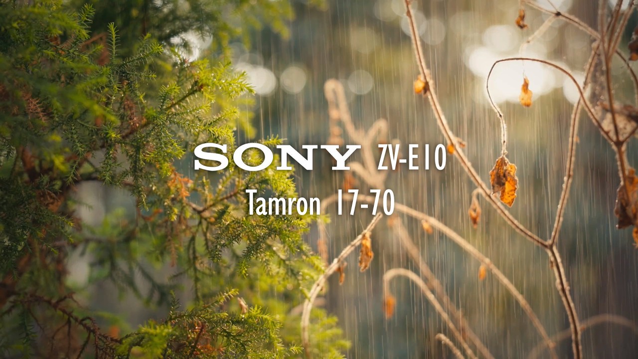 Film Look Cinematic B-Roll | Sony ZV-E10 + Tamron 17-70mm (Kodak 2383)