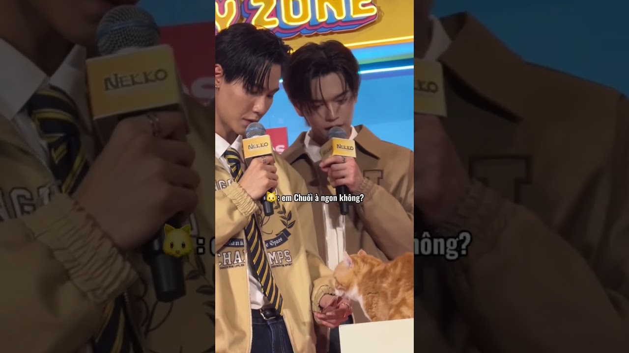 [vietsub cut] JuniorMark x Nekko (26/07/25)