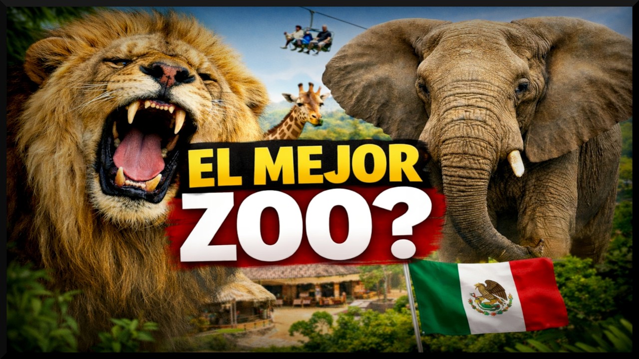 Uno De Los MEJORES Zoológicos De México | Guadalajara