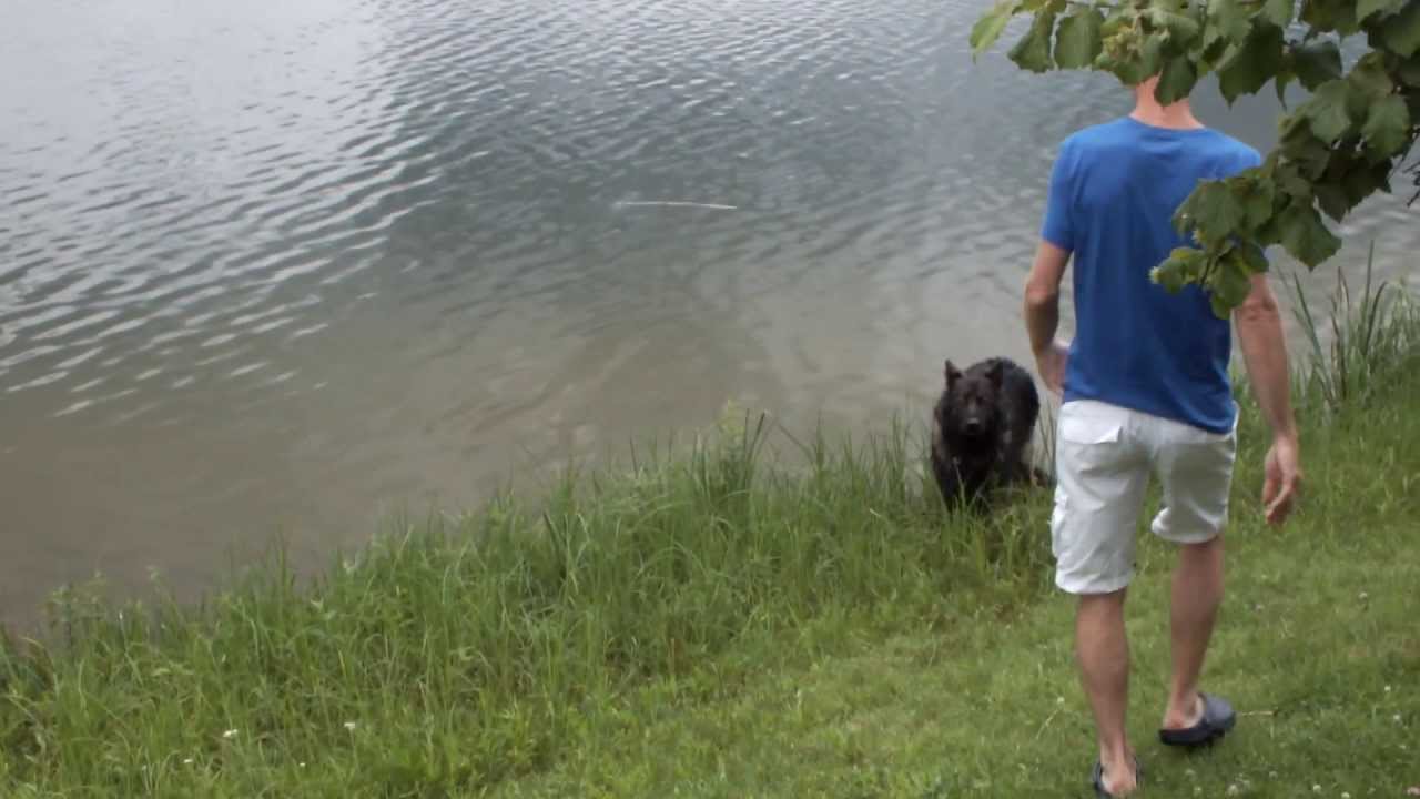Nanouk aan het zwemmen (2) in Lac Cormoranche 03-juli-2013