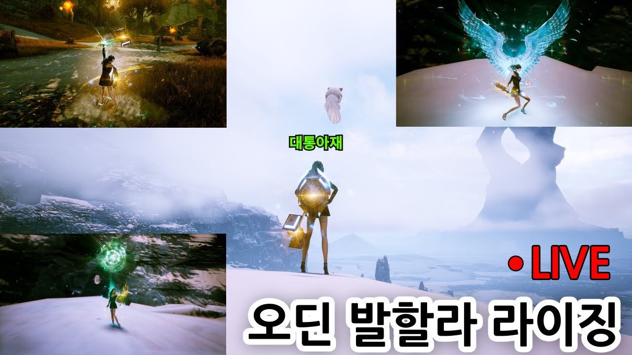 [오딘]    다들 용살자 가져가세요~!!!    26.02.11 (수요일)   #대통아재#ODIN#팔라딘#인챈트리스#소통