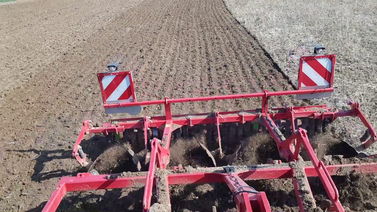 Zuckerrüben - Aussaat und Pflanzenschutz