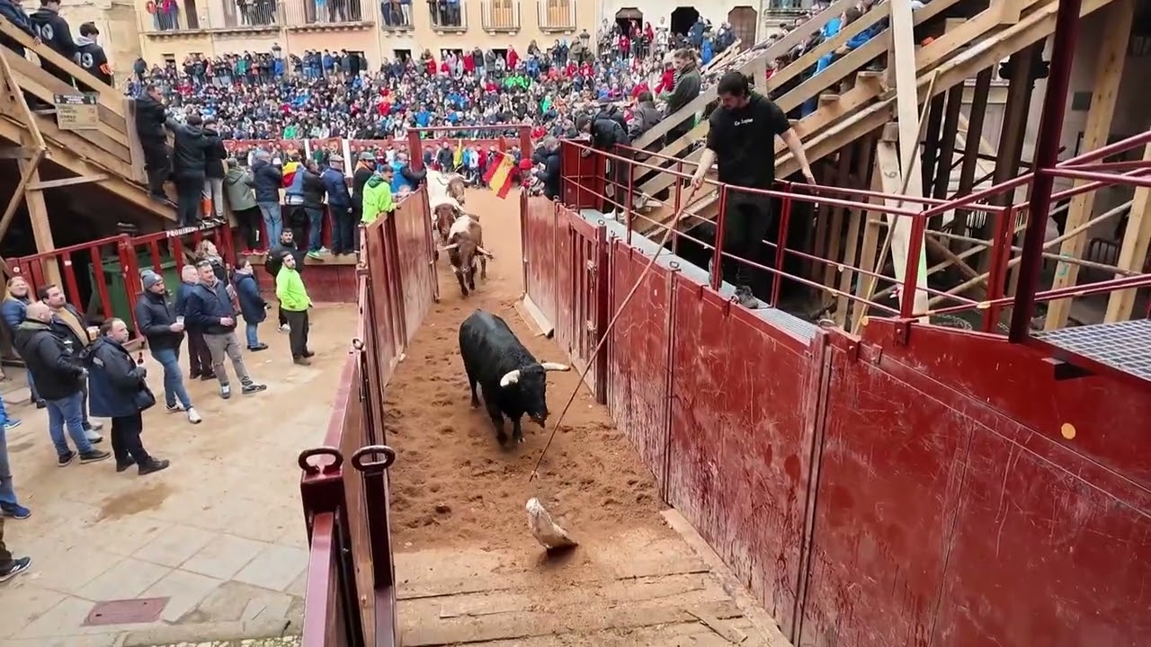 Los toriles, otra visión del Carnaval del Toro de Ciudad Rodrigo