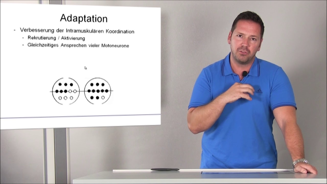 Basics Maximalkrafttraining
