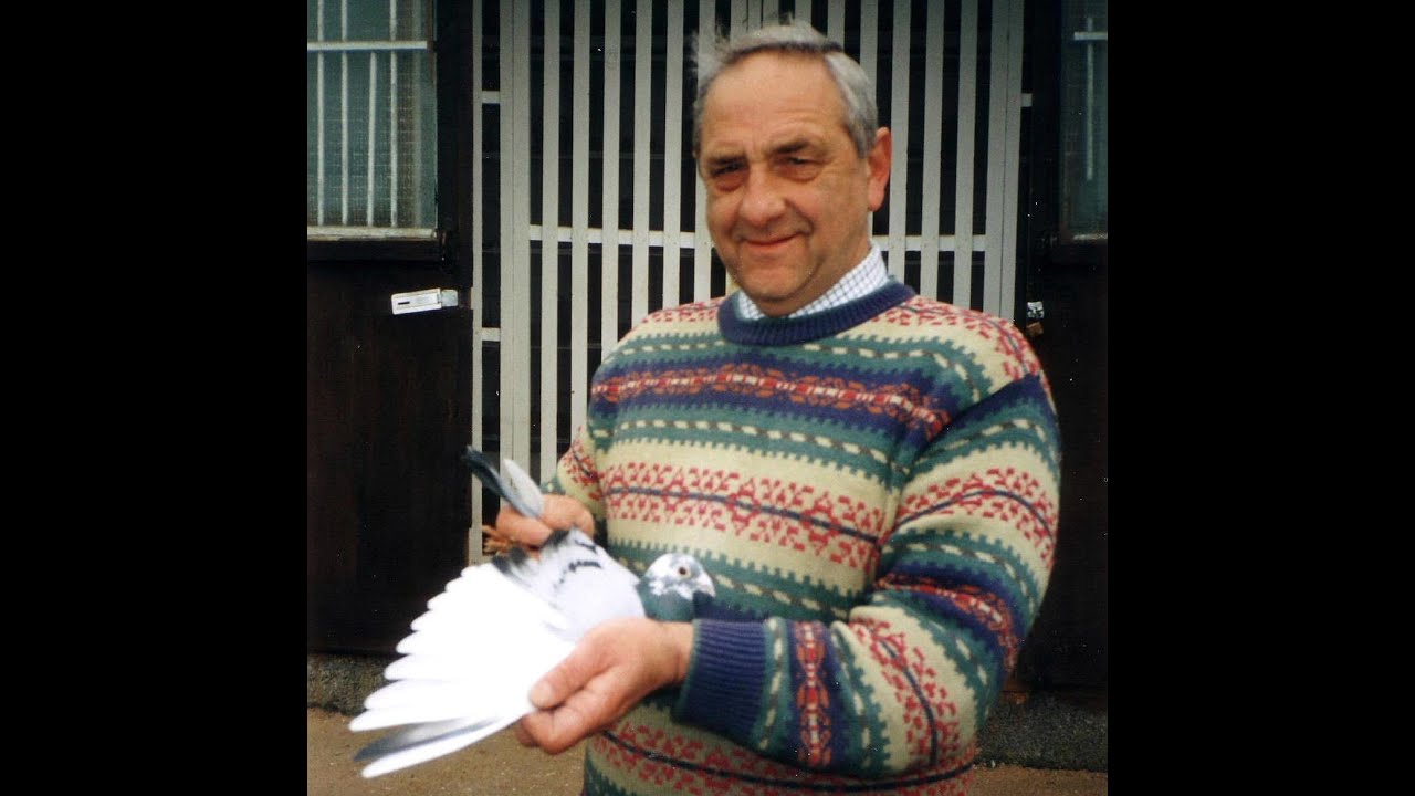 Video 320: Ian Axe of Owston Ferry: Premier Pigeon Racer