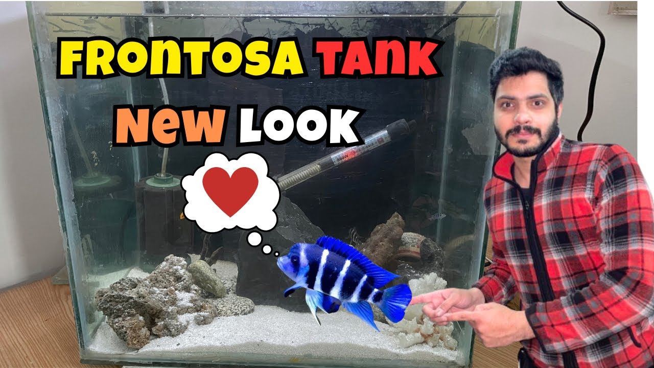 Adding White Sand in Frontosa Tank 😍 | Complete Tank Makeover