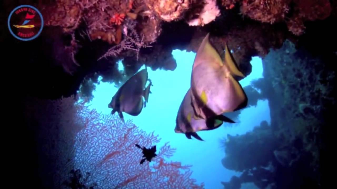 Diving in Bali @ Tulamben US Liberty Wreck