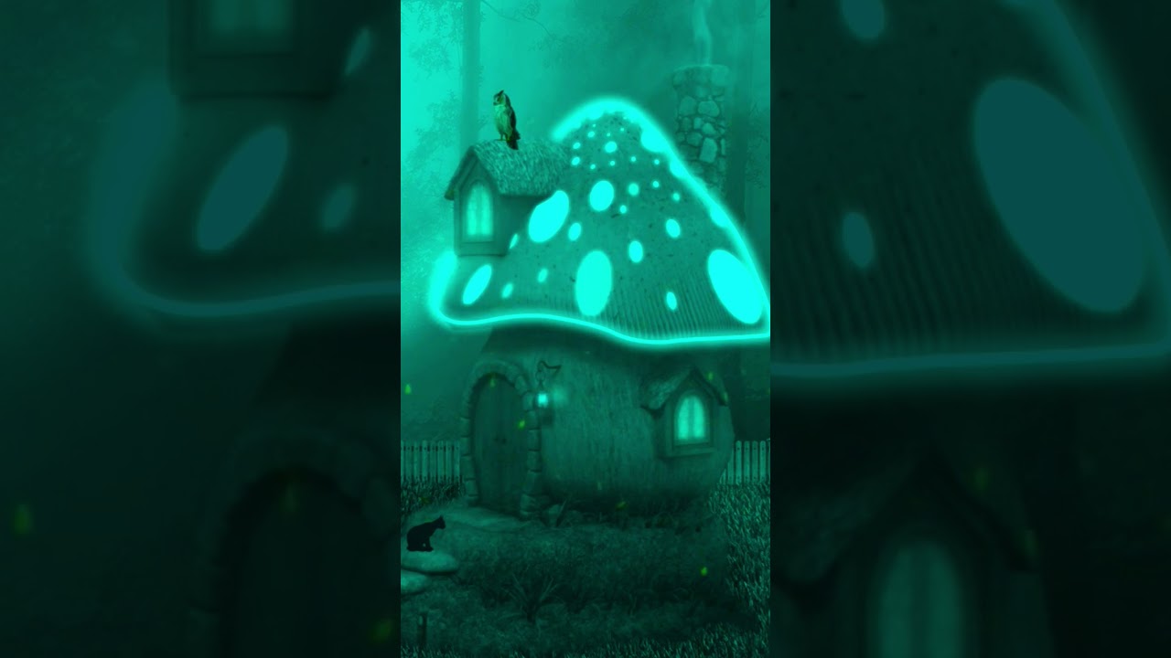 A Quiet Night iN The Woods 🍄 Fantasy Forest Ambience