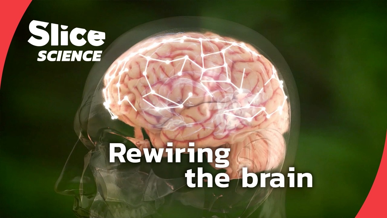 The brain’s way of healing explained | SLICE SCIENCE | FULL DOC