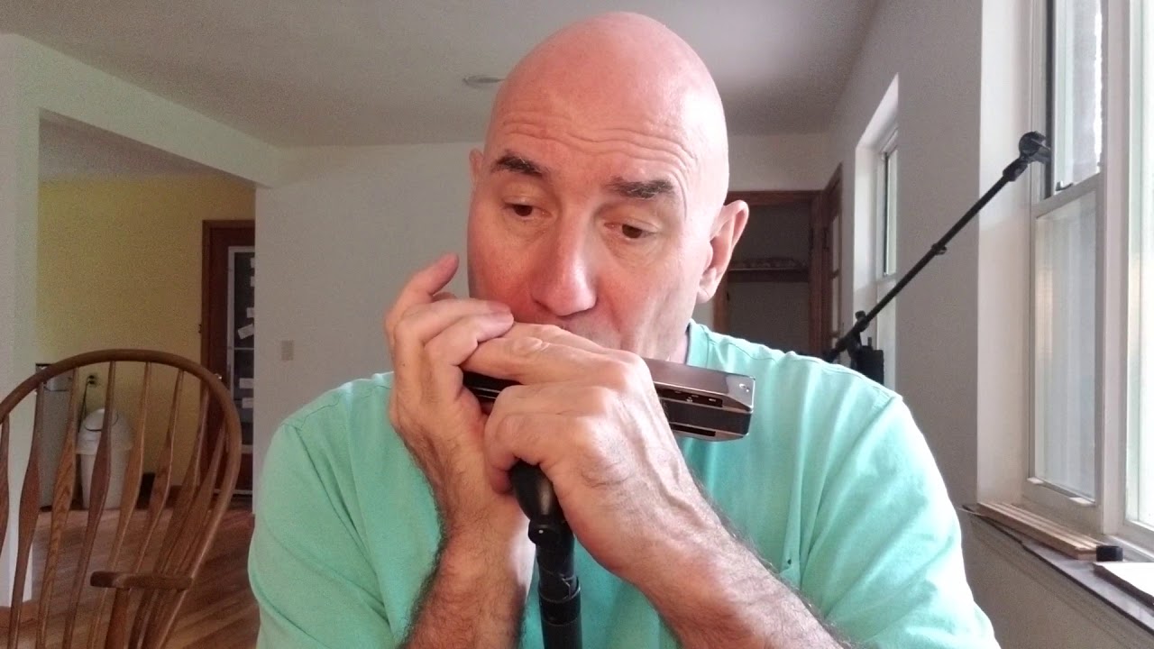 Suzuki SCX Chromatix A Great Value Harp David Kettlewell chromatic harmonica