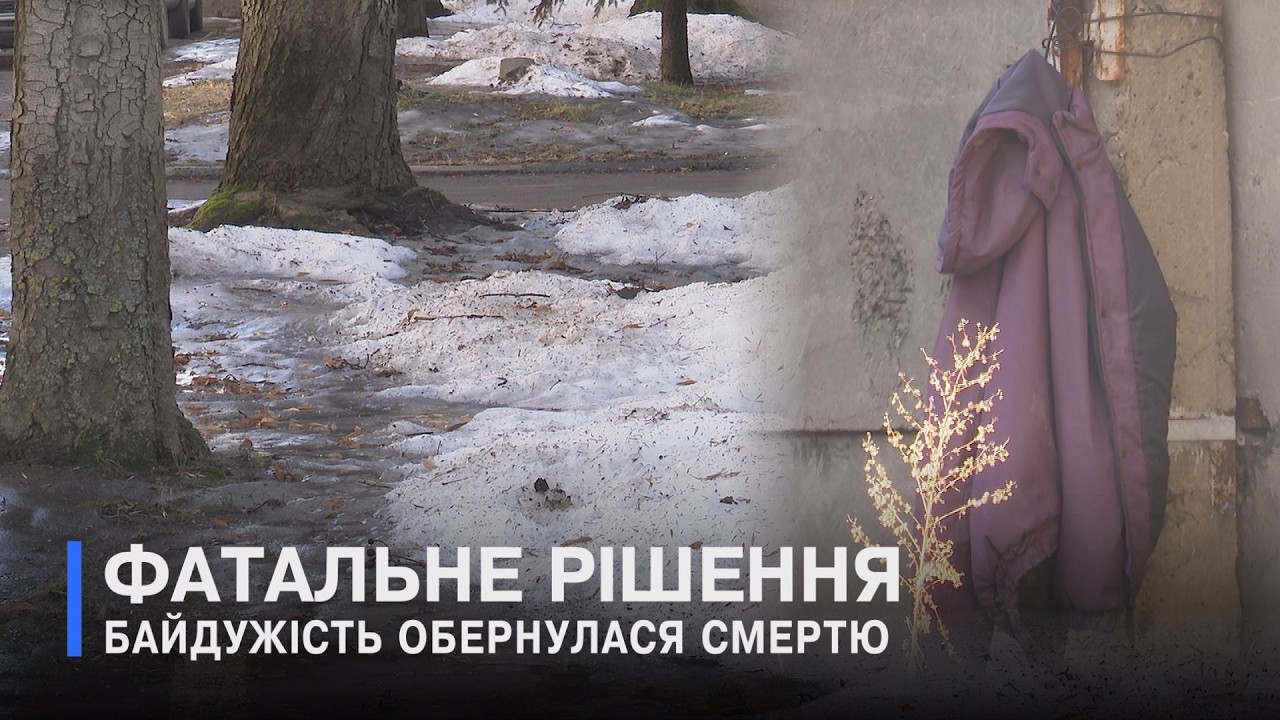 Витягнув з двору і залишив помирати на холоді