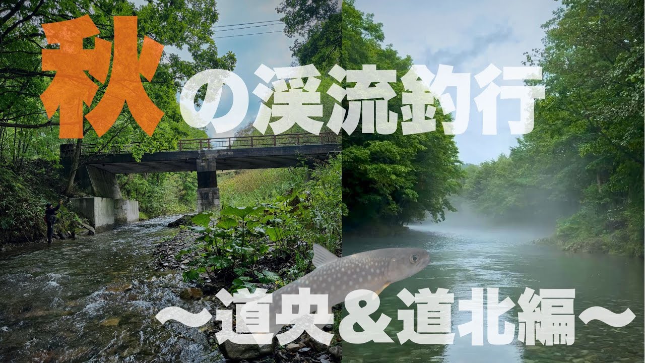 【秋の渓流釣行】～道央・道北編～