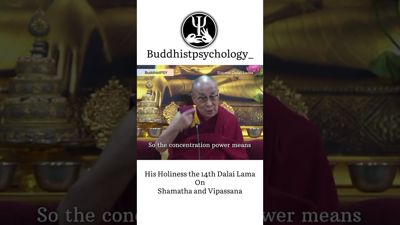Shamatha and Vipassana meditation #buddhistpsychology #dalailama #motivation #buddha #meditation