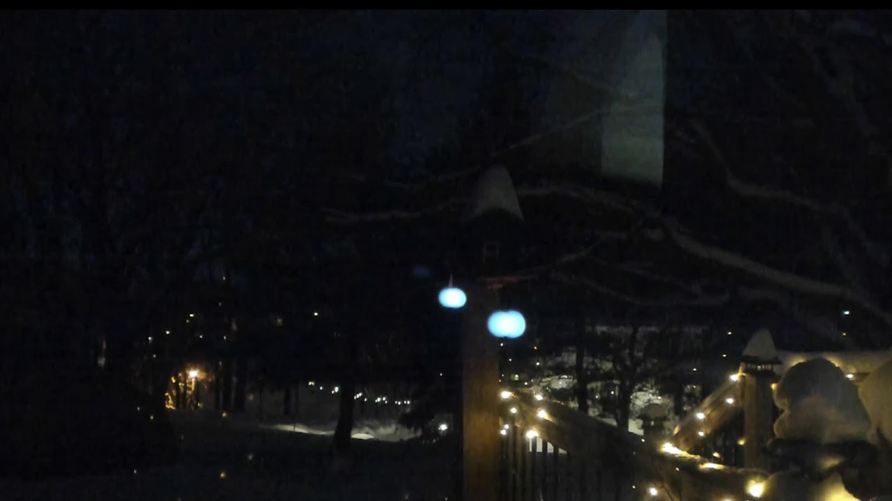 LIVE Watching Birds Squirrels and Deer in Winter Snow in Nate's Backyard