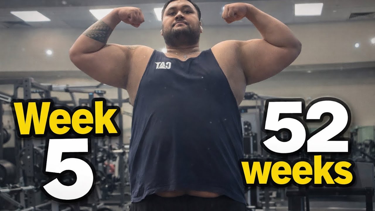 ПРОДОЛЖАЕТСЯ 5-Я НЕДЕЛЯ ИЗ 52 НЕДЕЛЬ