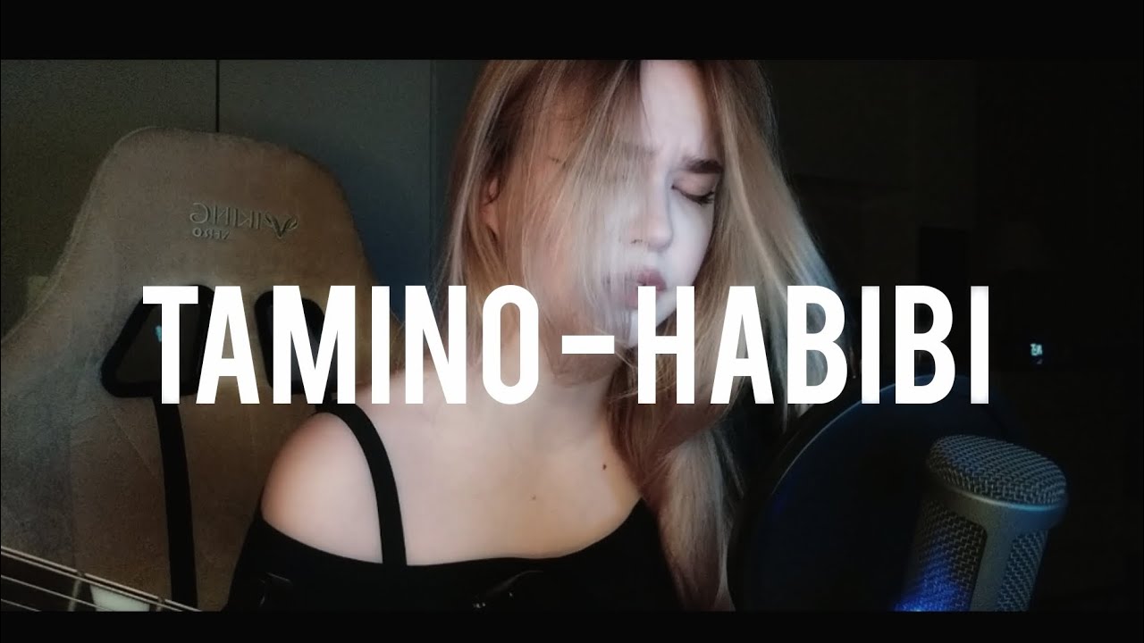 Tamino - Habibi (cover) 