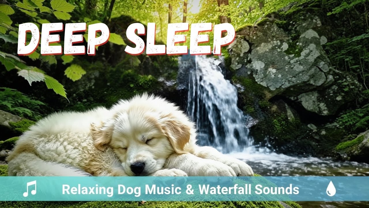 Relaxing Music for Puppy & Soft Waterfall Sounds