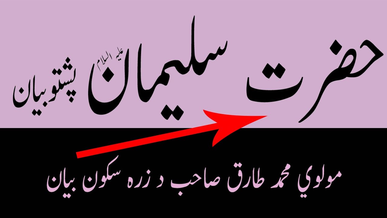 Prophet Sulaiman (AS)  Pashto Bayan Maulana Tariq Sahab