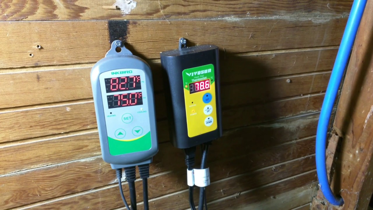 Grow Tent Setup in Garage