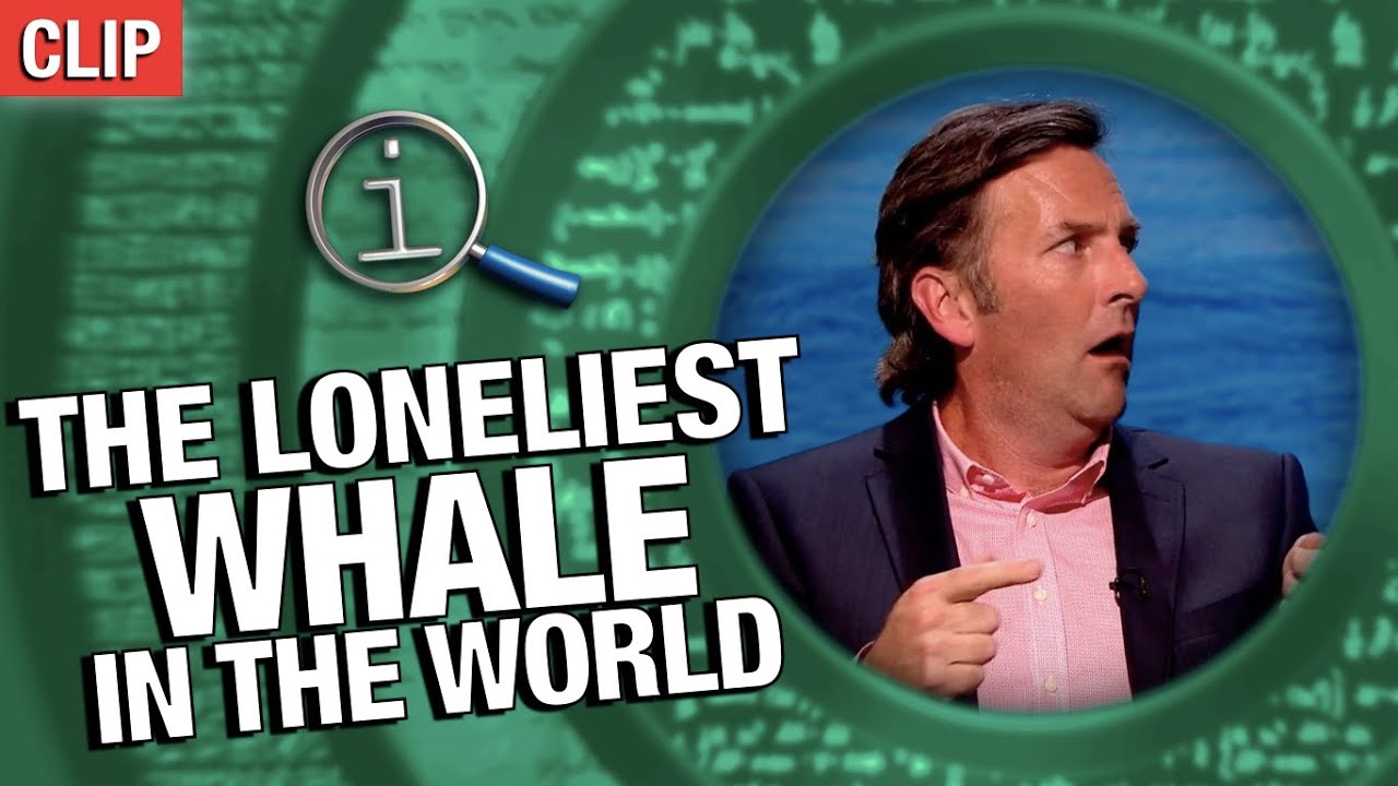 The Loneliest Whale In The World | QI
