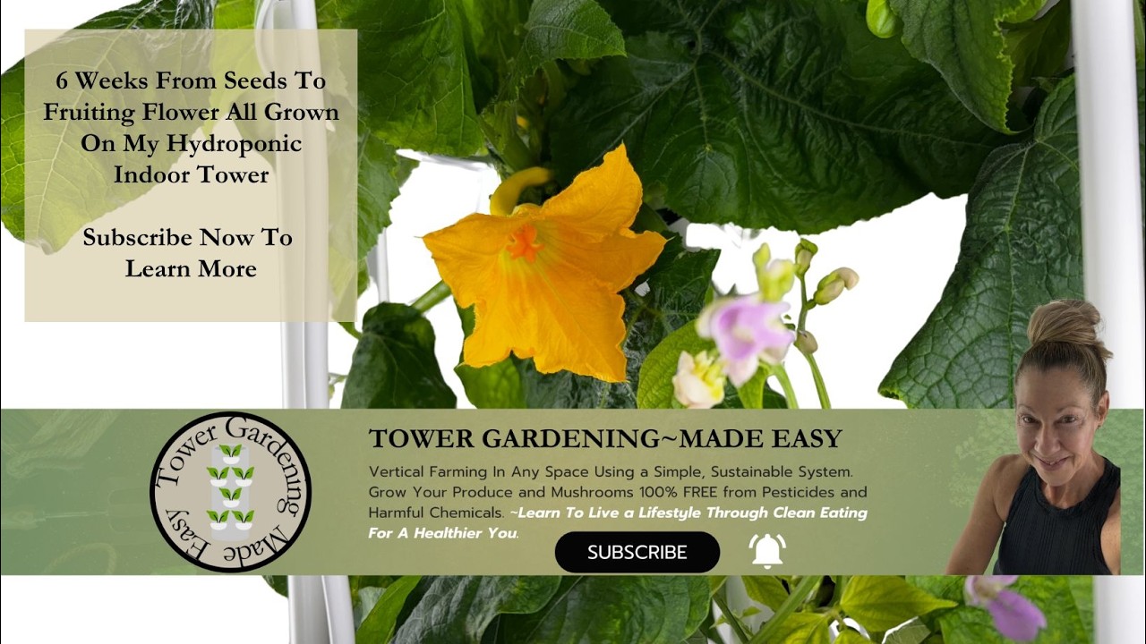 6 Weeks From Seed To Fruiting Vegetables    Subscribe Now To Learn How...  #verticalfarming