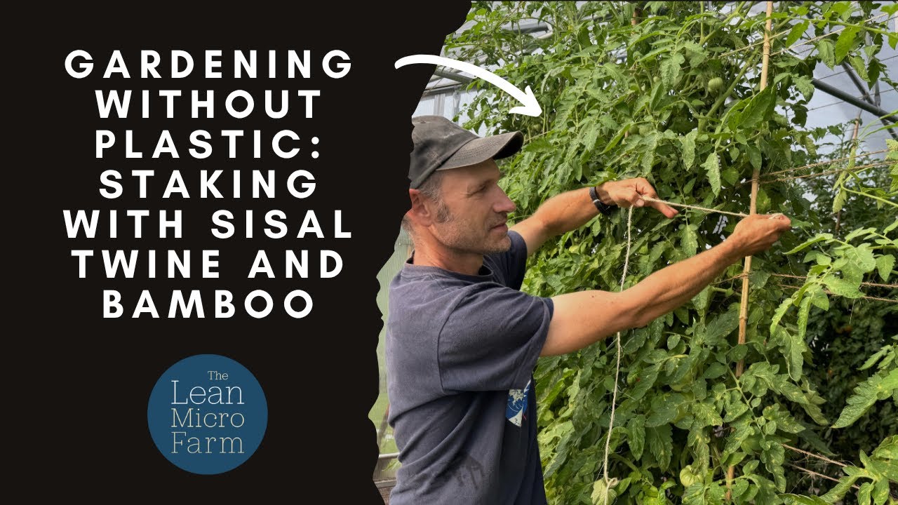 Staking with Sisal Twine and Bamboo