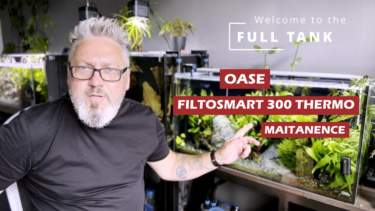 OASE FiltoSmart 300 thermo maintanence.